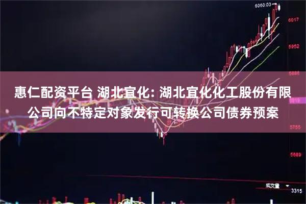 惠仁配资平台 湖北宜化: 湖北宜化化工股份有限公司向不特定对象发行可转换公司债券预案