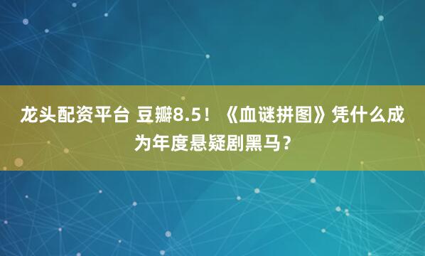 龙头配资平台 豆瓣8.5！《血谜拼图》凭什么成为年度悬疑剧黑马？