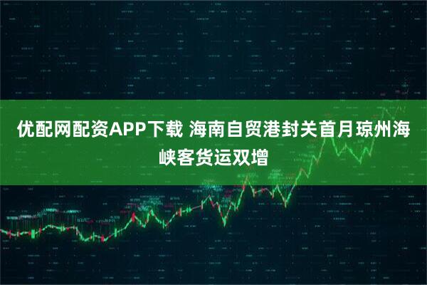 优配网配资APP下载 海南自贸港封关首月琼州海峡客货运双增