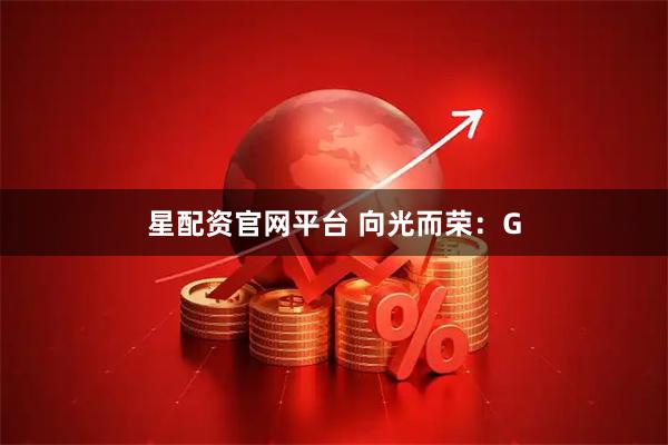 星配资官网平台 向光而荣：G